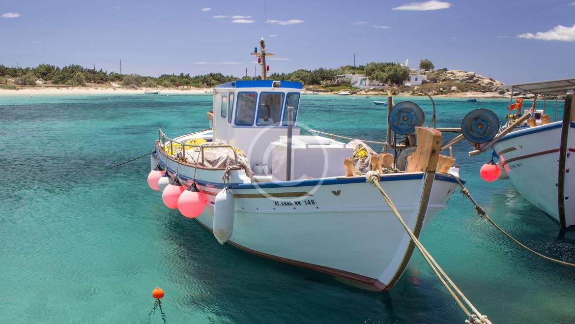 Assistência Técnica & Painéis